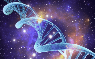 Revolutionizing Brain Function: The Surprising Benefits of Activated Stem Cells
