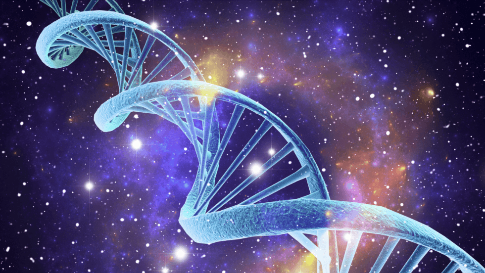 Revolutionizing Brain Function: The Surprising Benefits of Activated Stem Cells