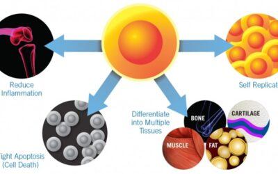 Lifewave X39 Stem cell activation patch reviewed by a medical doctor