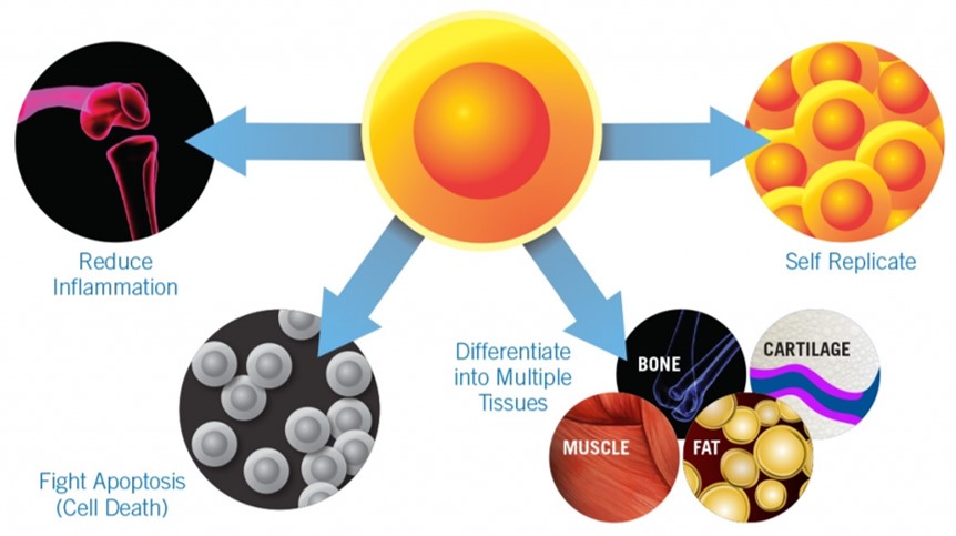 Lifewave X39 Stem cell activation patch reviewed by a medical doctor